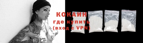 прущие грибы Белокуриха