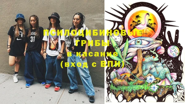 гашик Белоозёрский