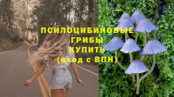 гашик Белоозёрский