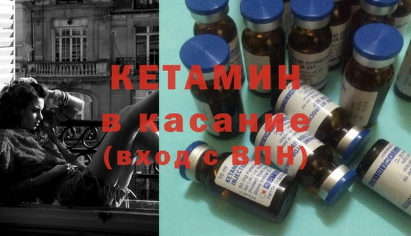 прущие грибы Белокуриха